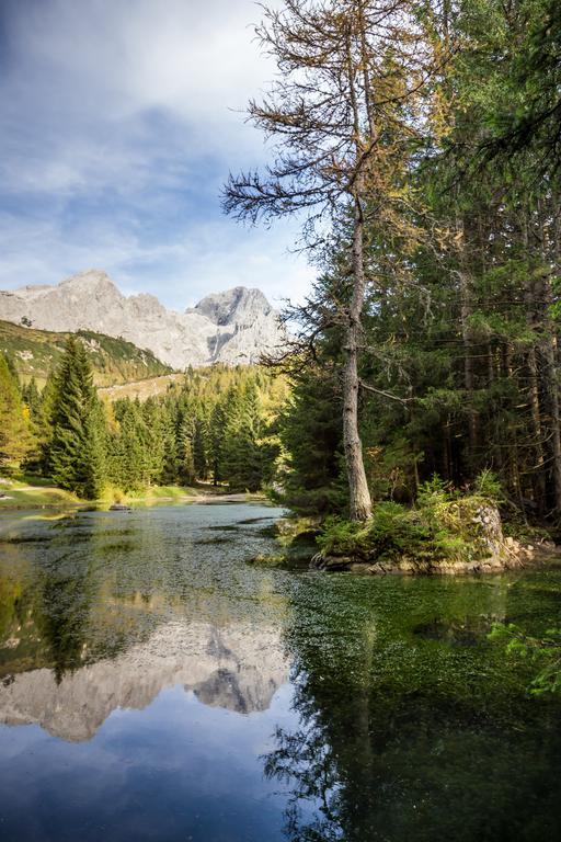 Das Gertraud Filzmoos Exteriör bild